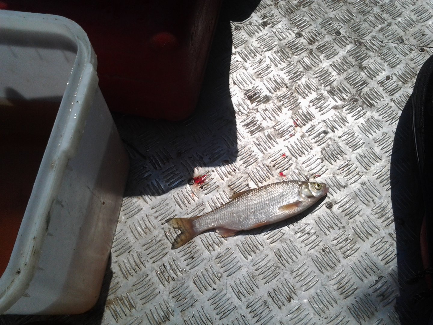 20160707_135106.jpg