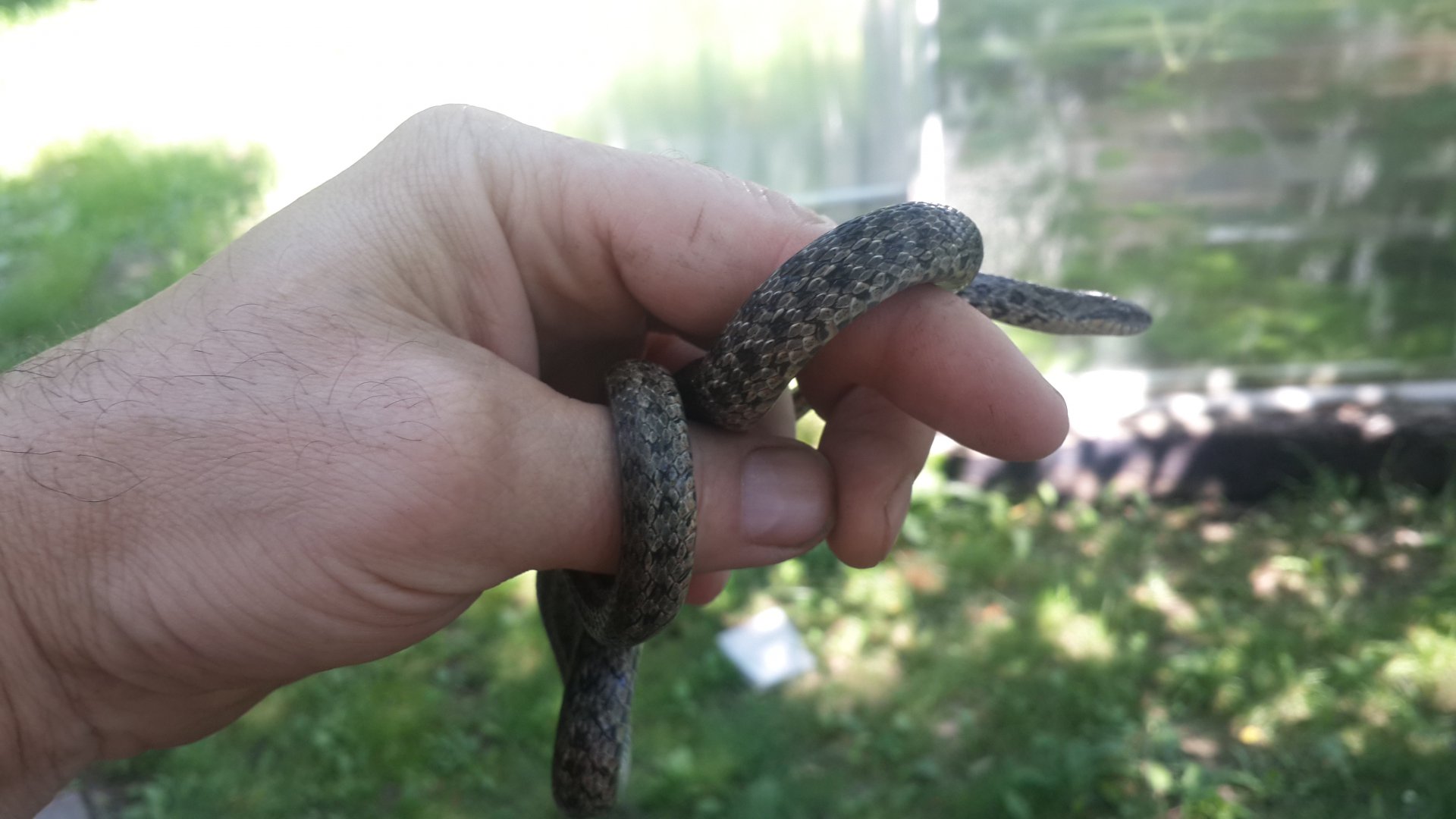 20160710_141759.jpg