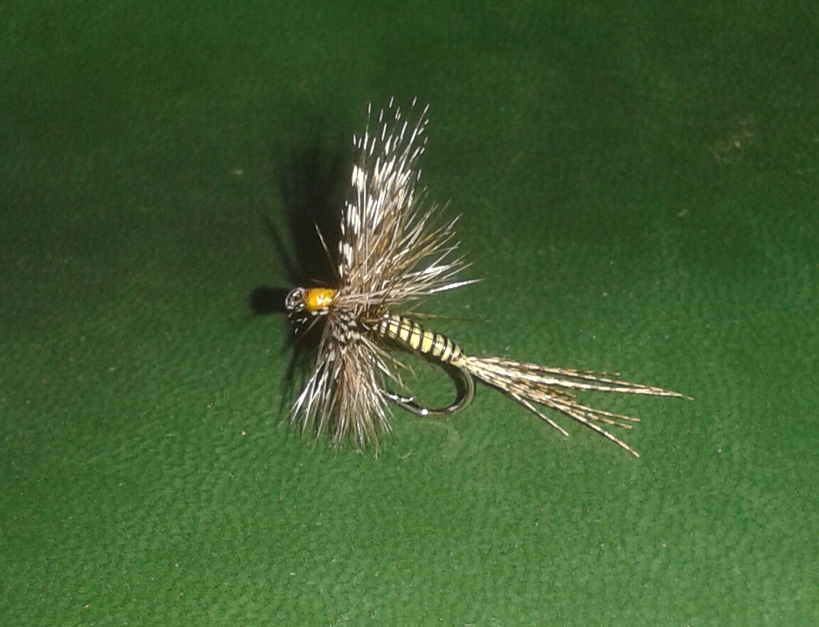 20160713_110304-1.jpg