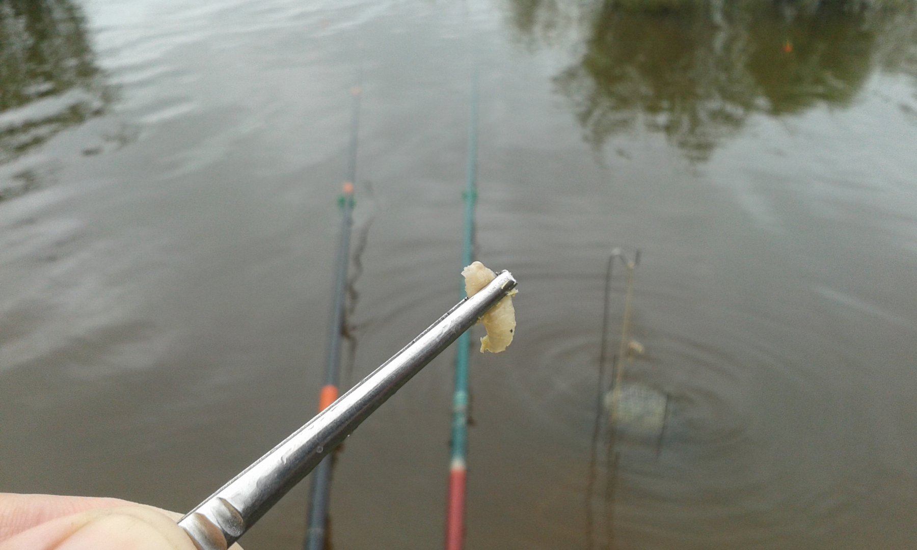 20160715_160238.jpg