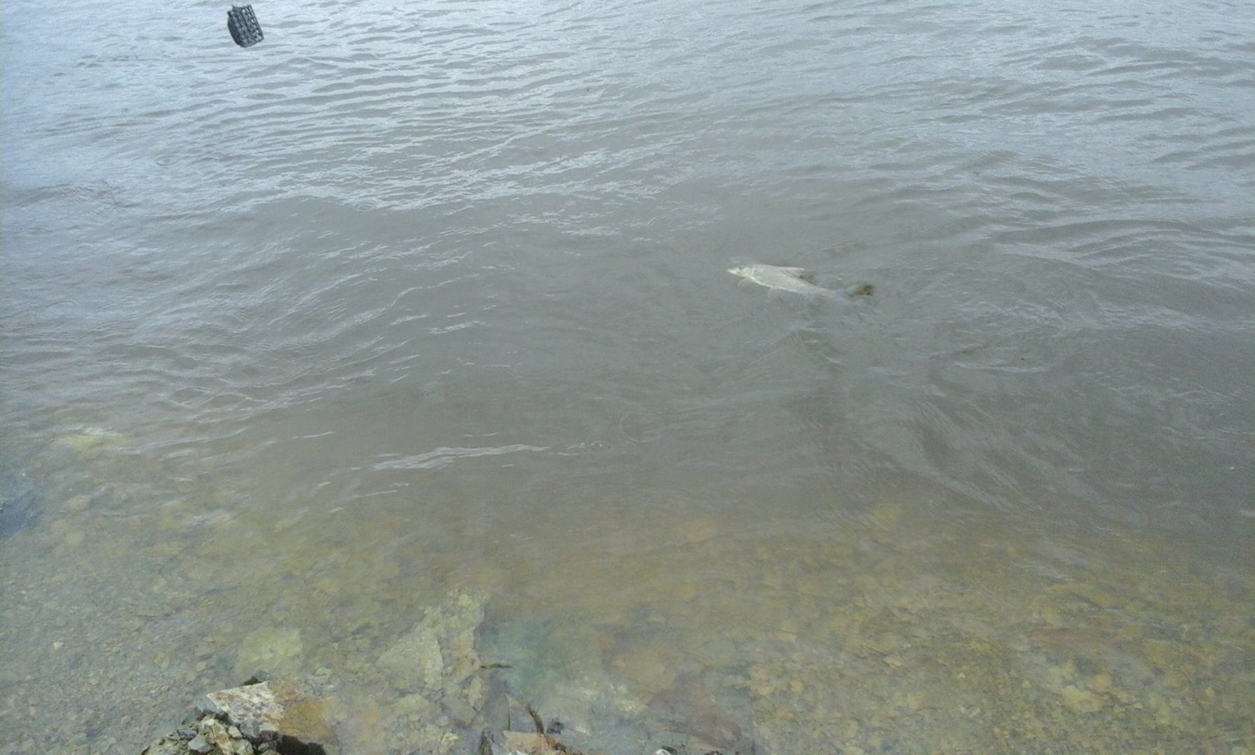 20160726_094913.jpg