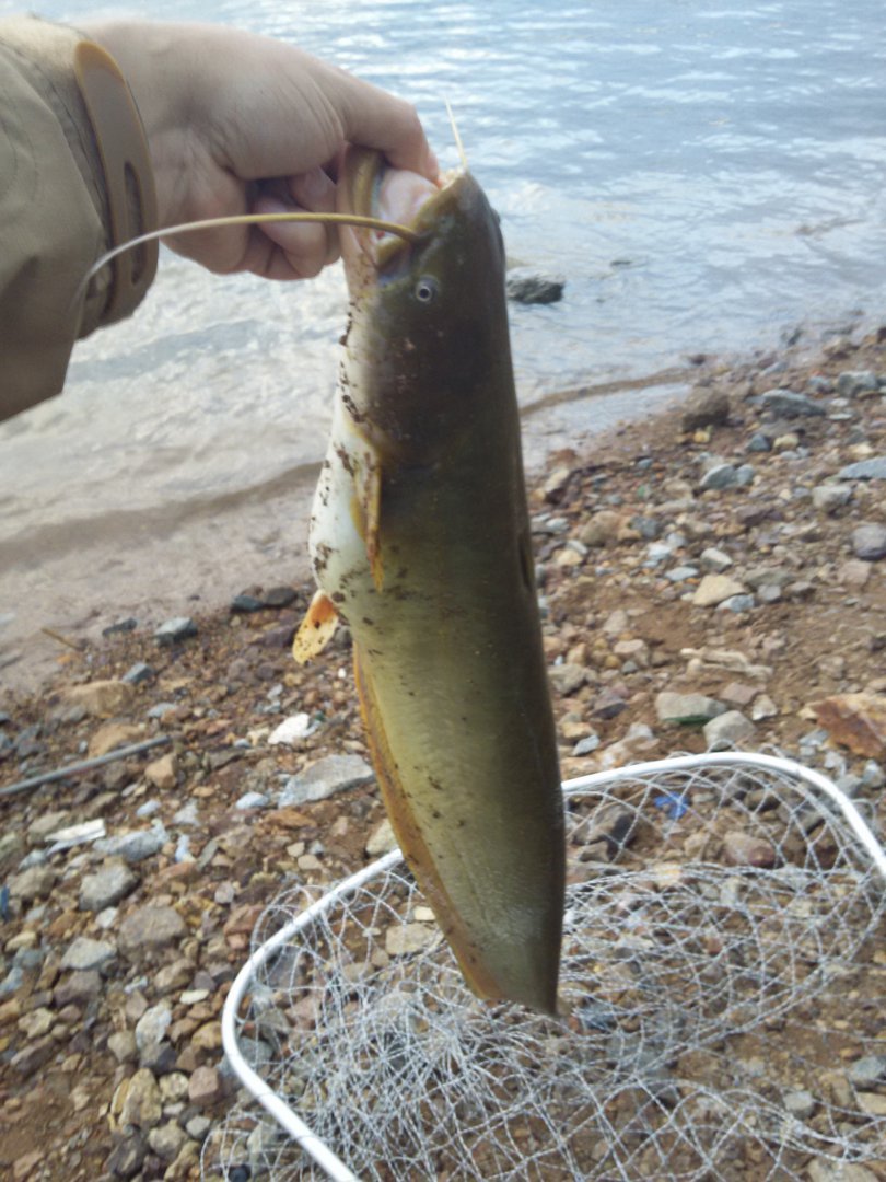 20160727_200339.jpg