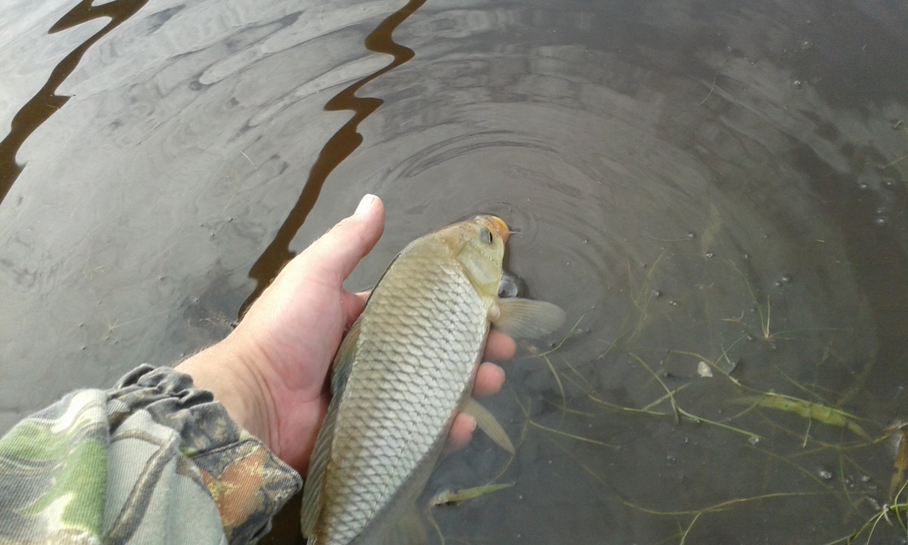 20160730_090549.jpg