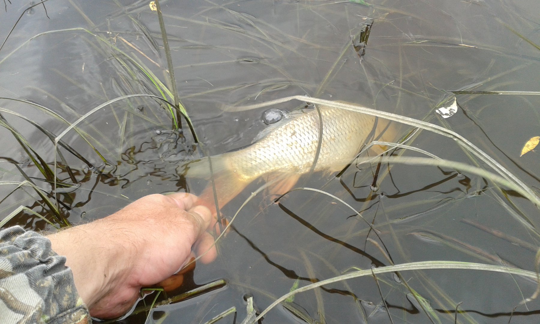 20160730_142945.jpg
