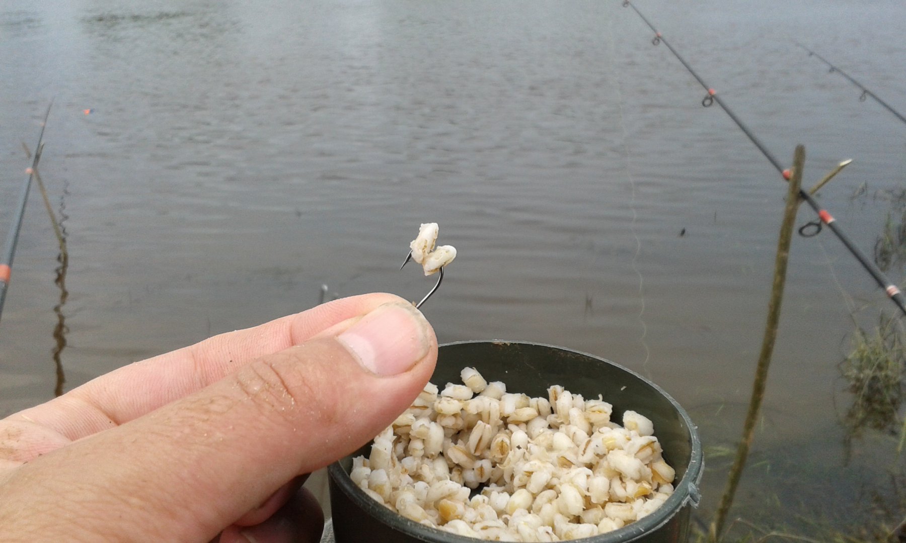 20160730_143316.jpg
