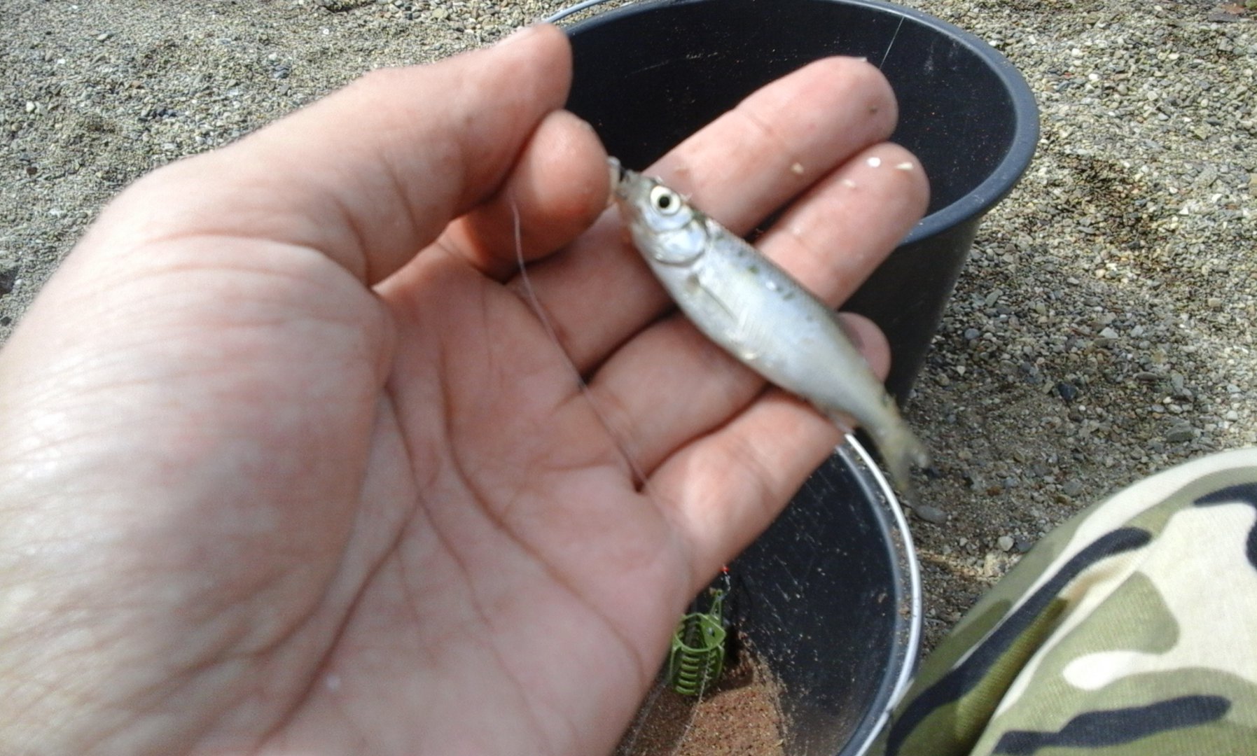 20160813_135328.jpg
