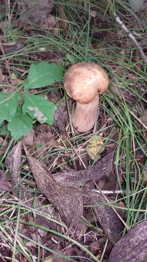 20160826_143127.jpg
