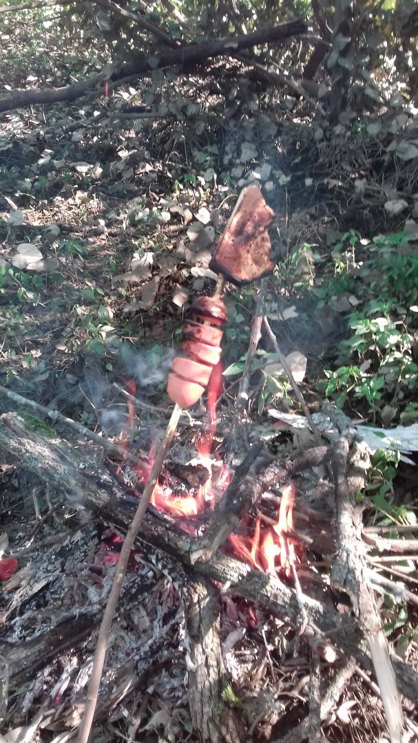20160827_095838.jpg