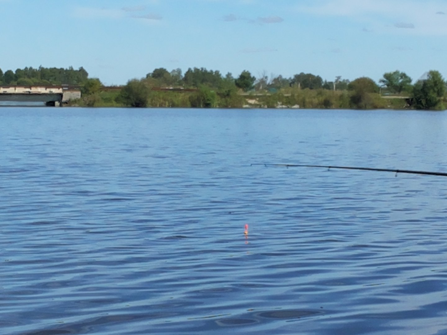 20160828_143128.jpg