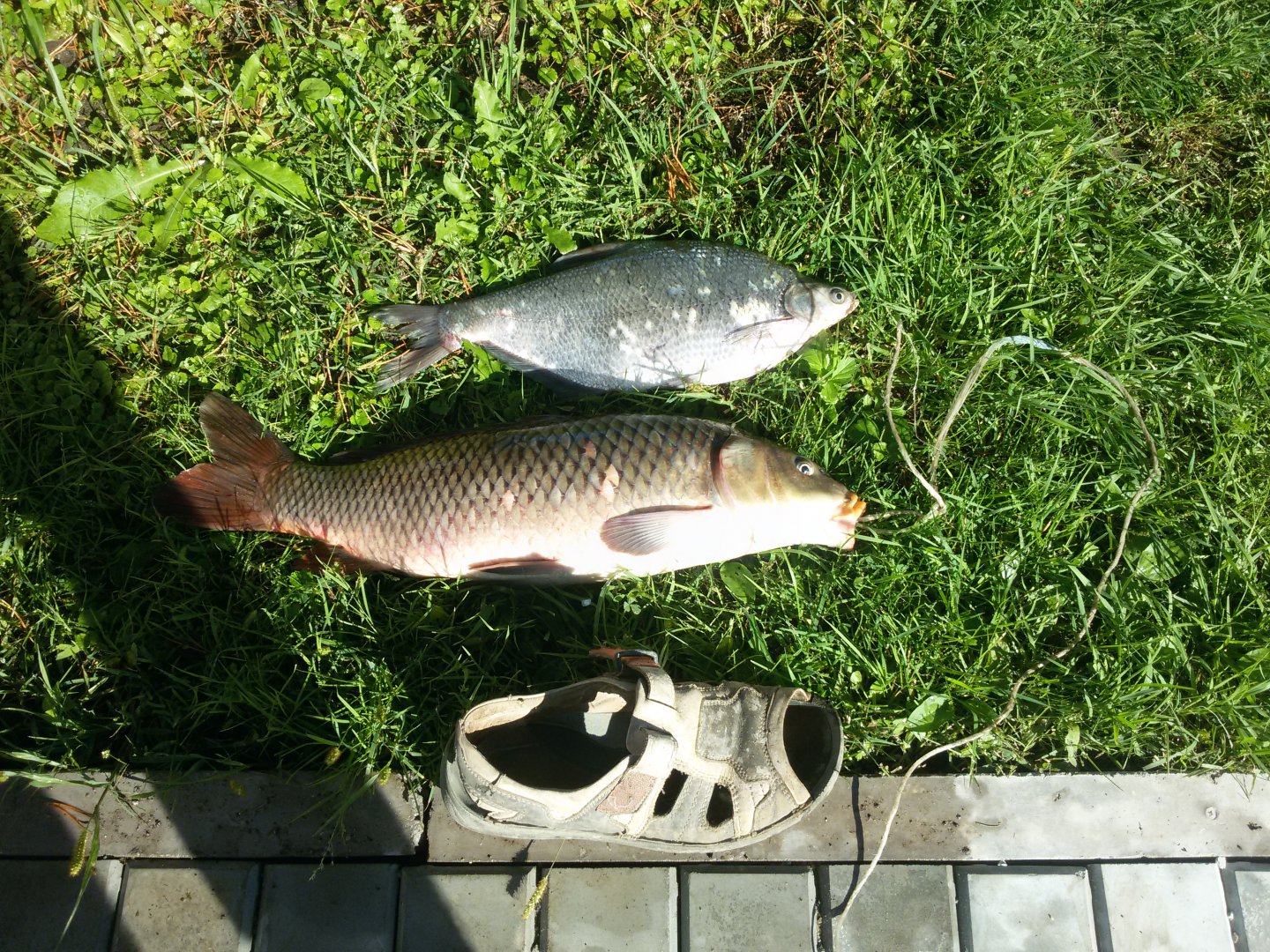 20160828_162757.jpg