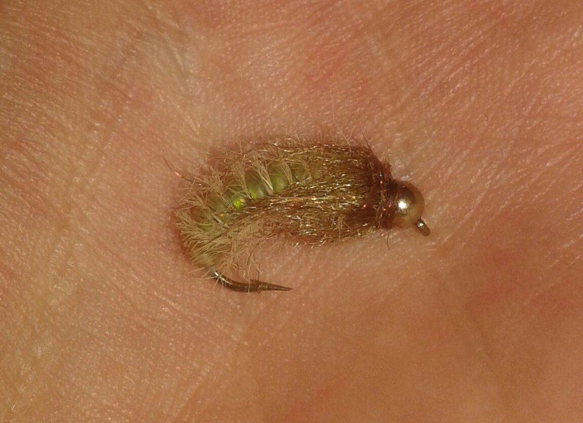 20160911_095456-1.jpg