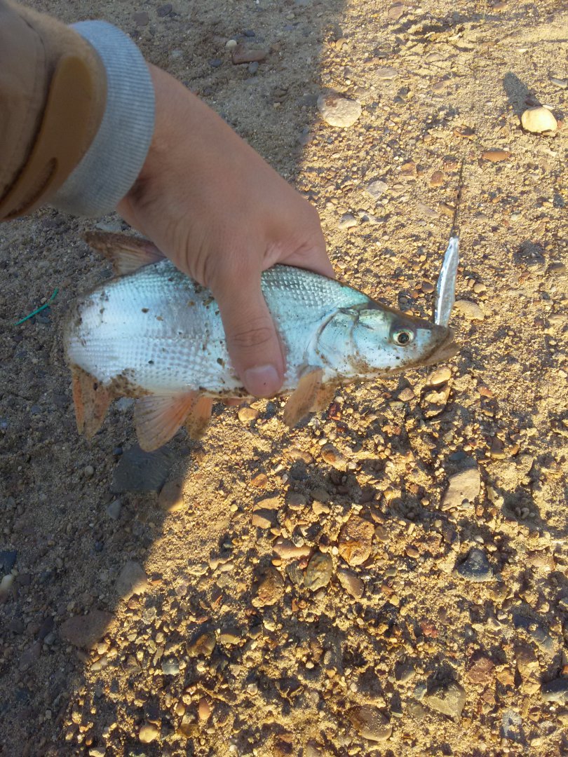 20160920_174103.jpg