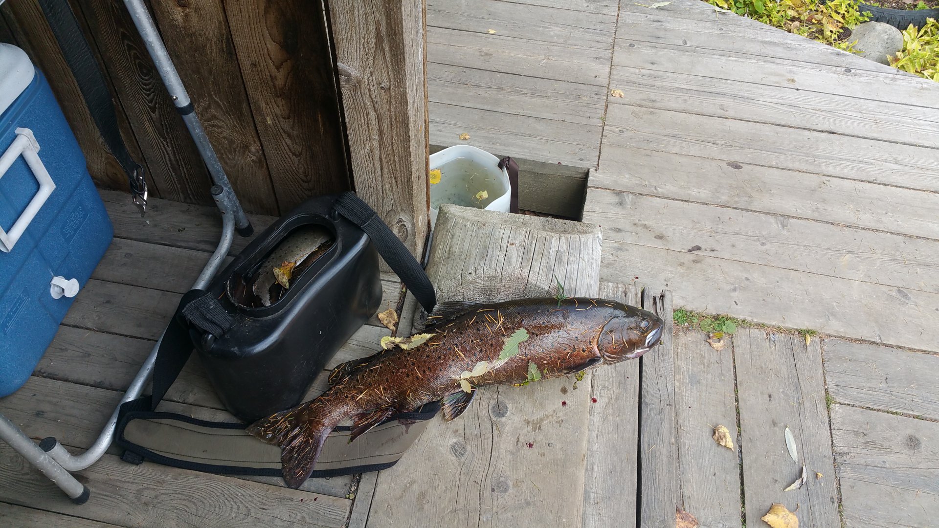 20160923_143231.jpg