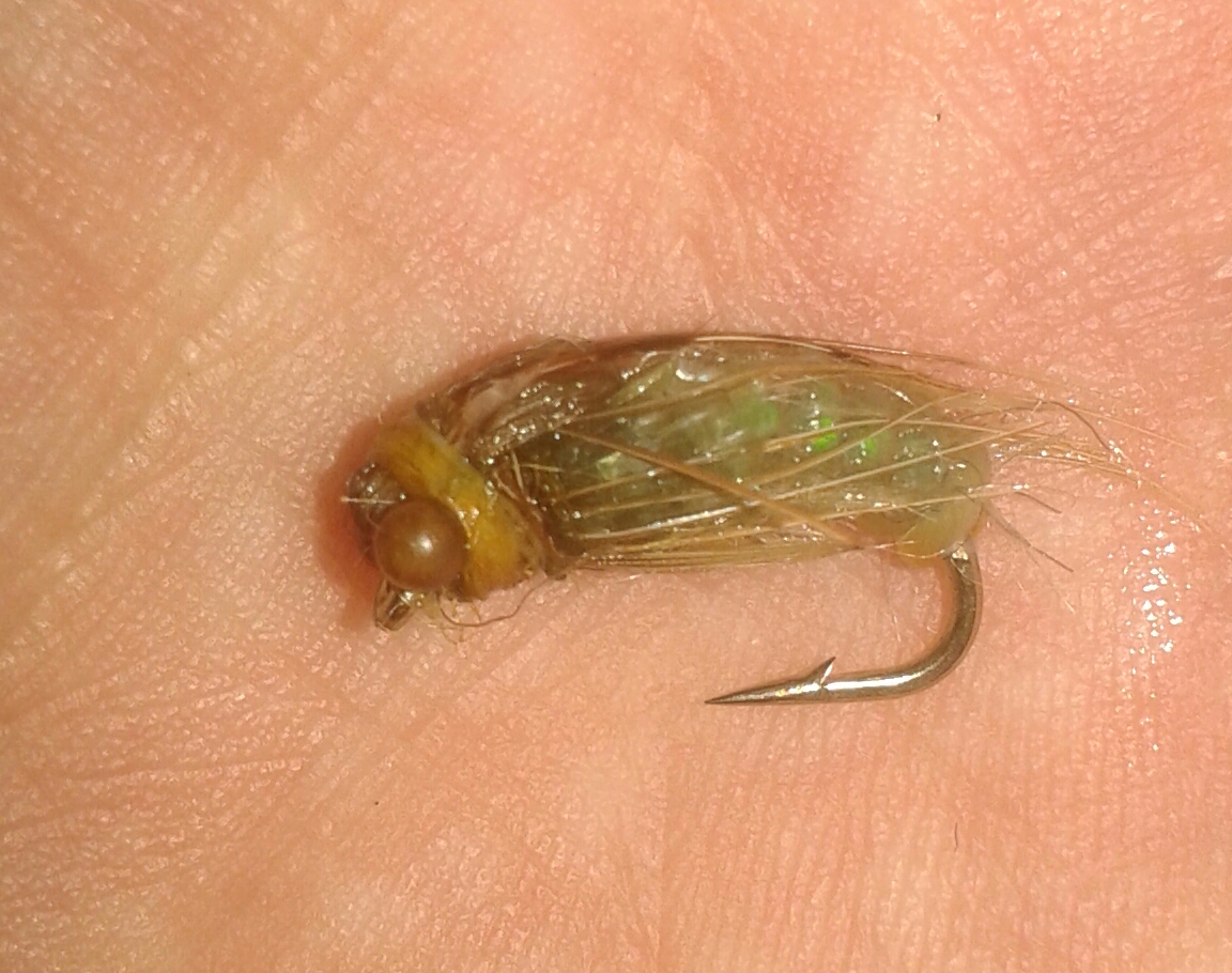 20160924_112417-1.jpg