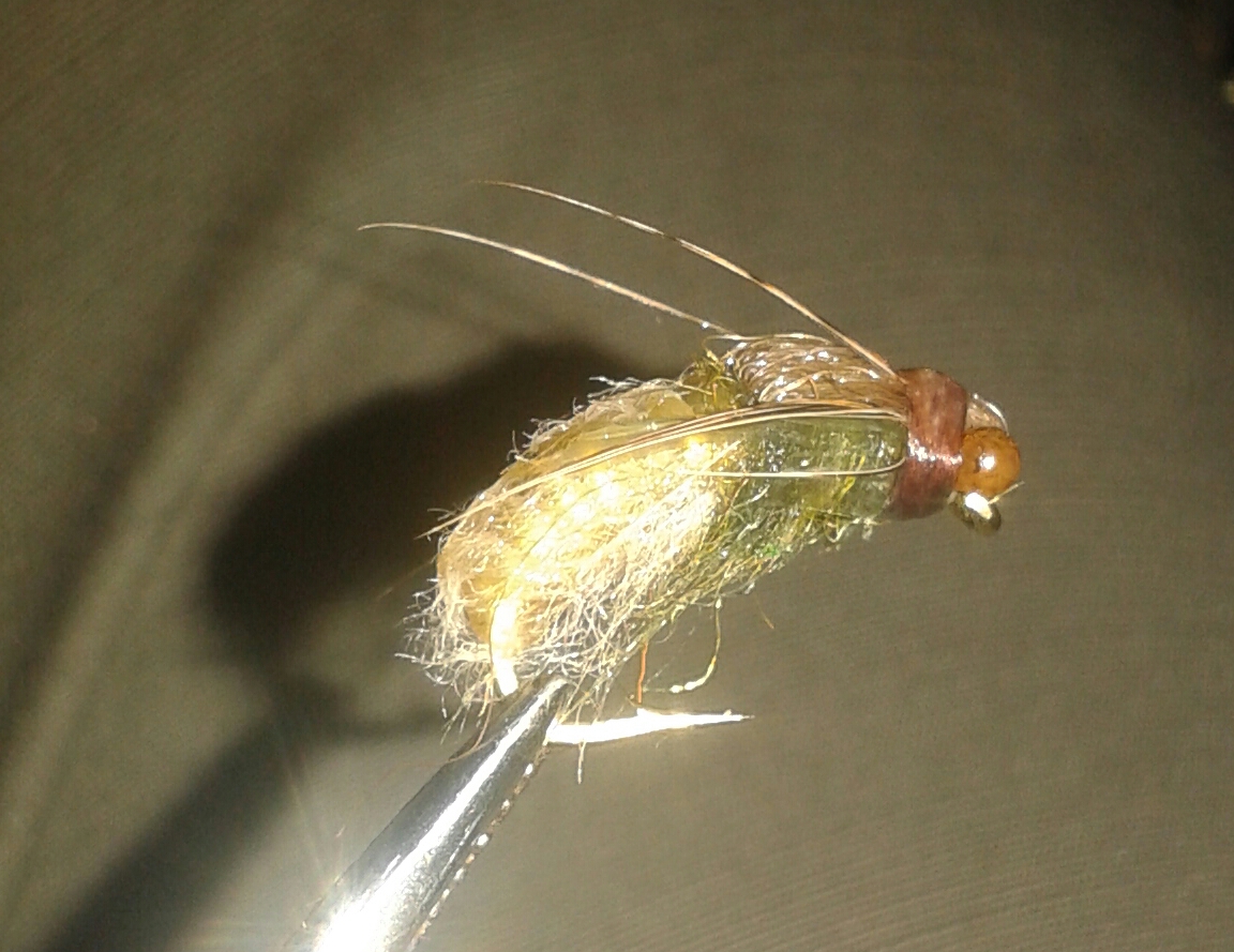 20160925_002824-1.jpg