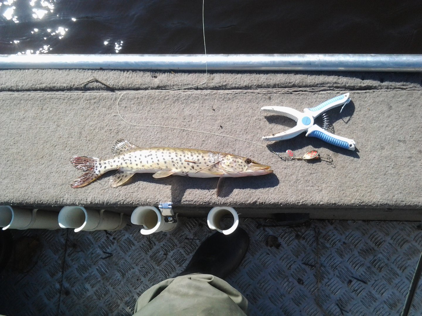 20160930_115418.jpg
