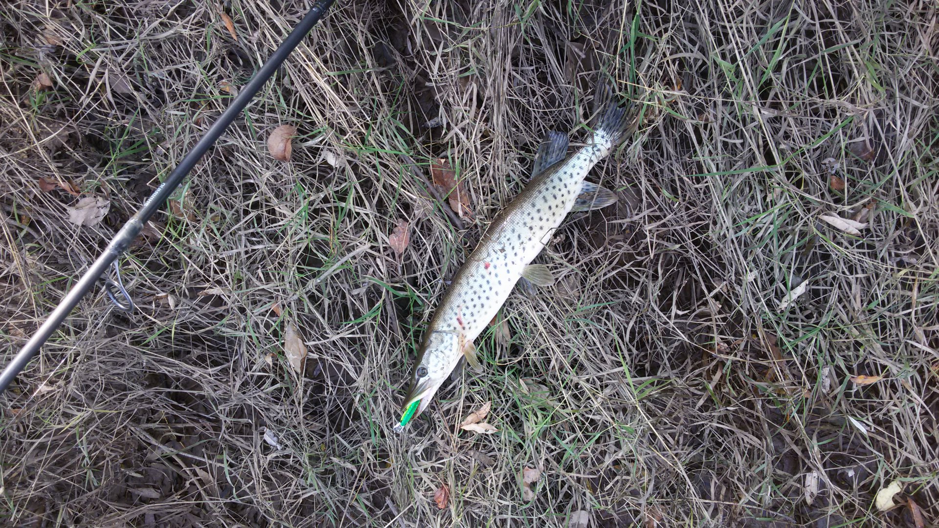 20161001_132543.jpg