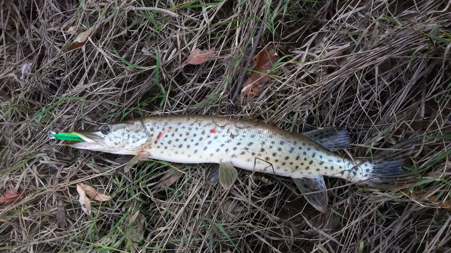 20161001_132548.jpg