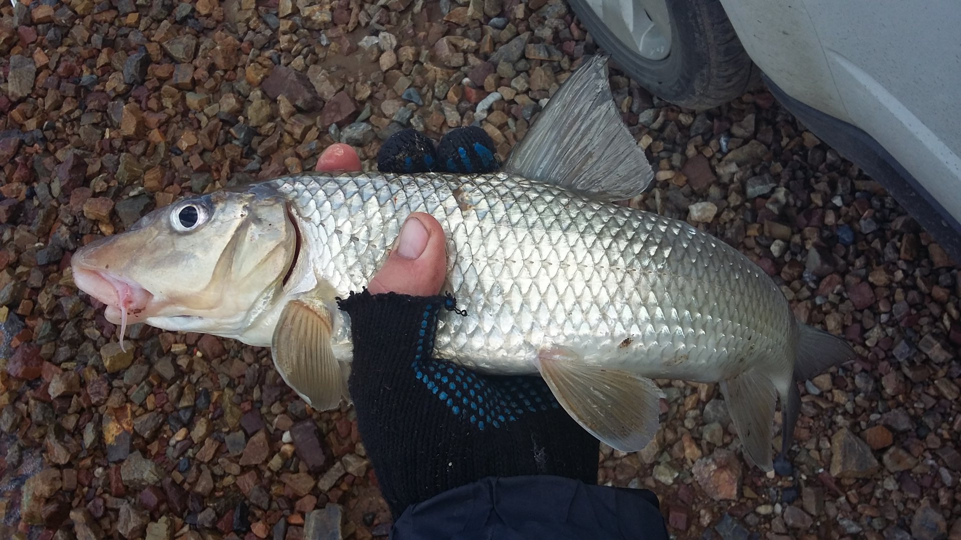 20161006_110727.jpg