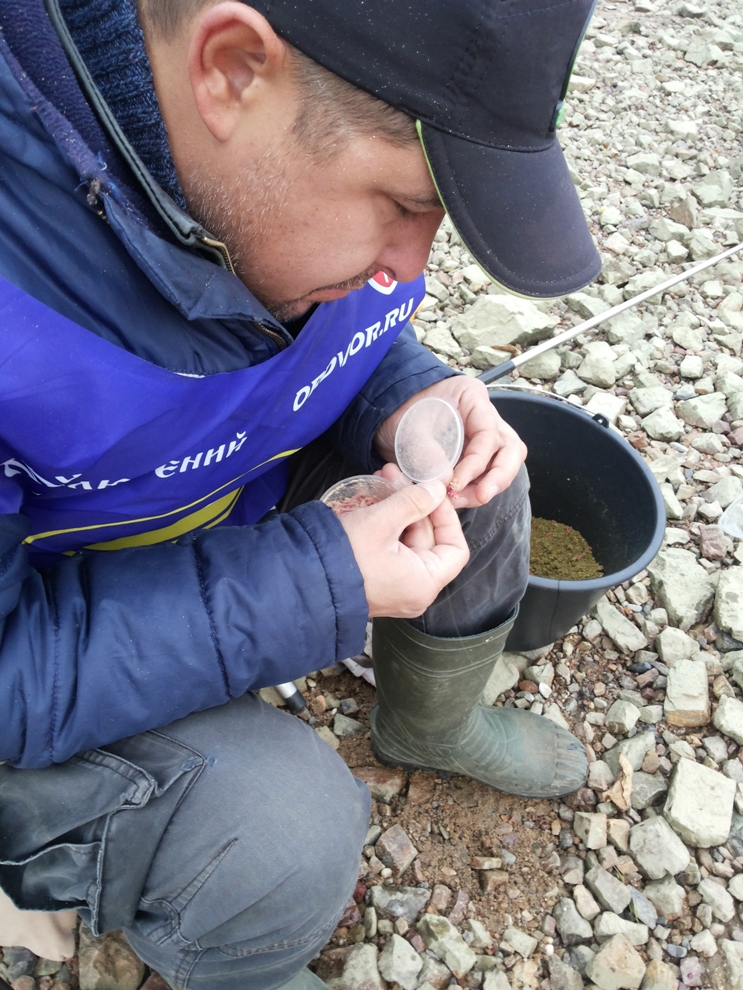 20161008_073037.jpg