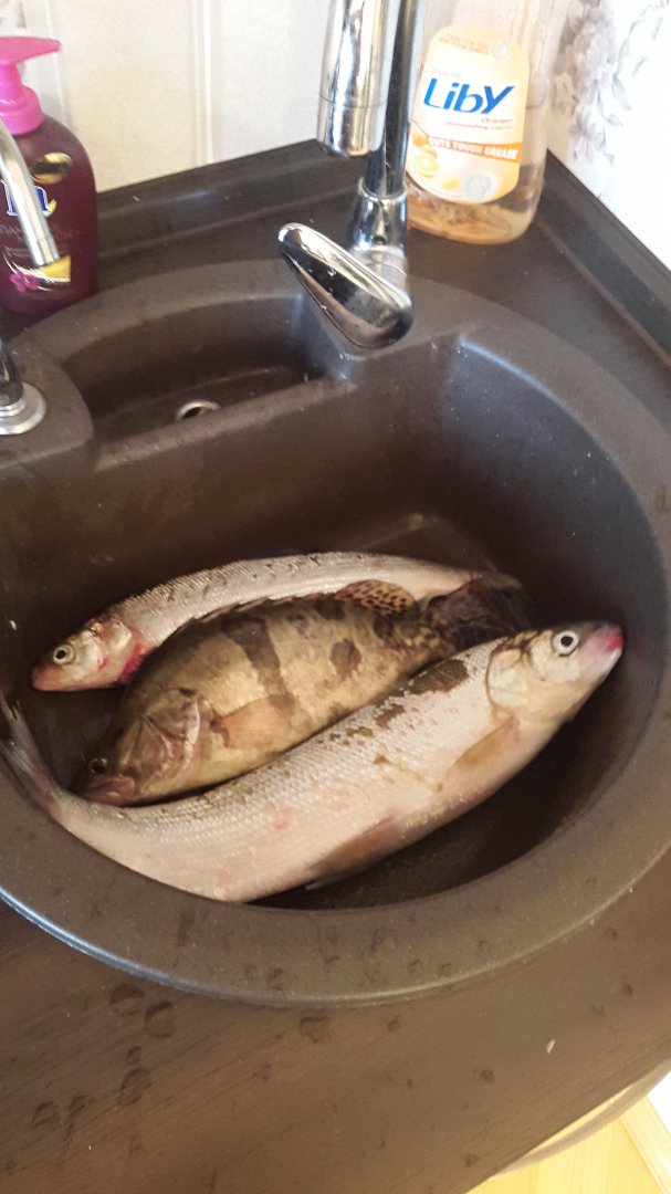 20161009_175338[1].jpg