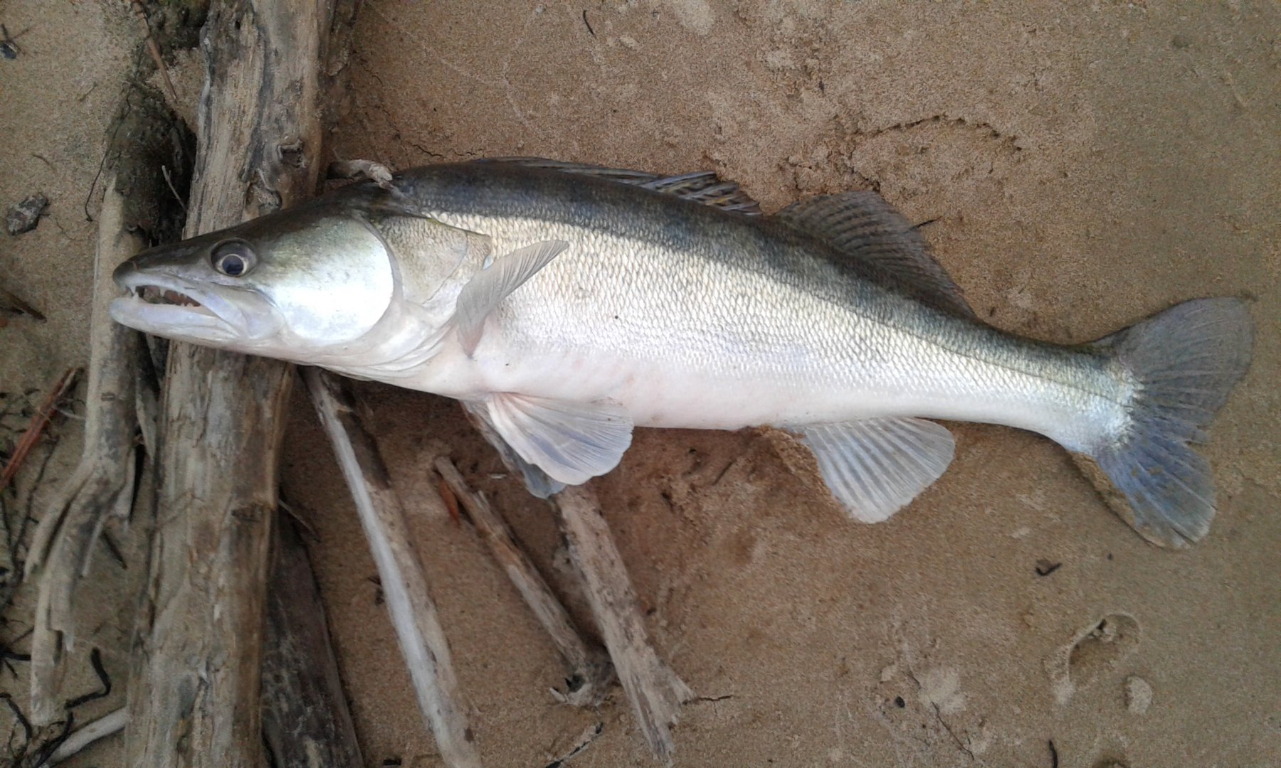 20161012_073152.jpg