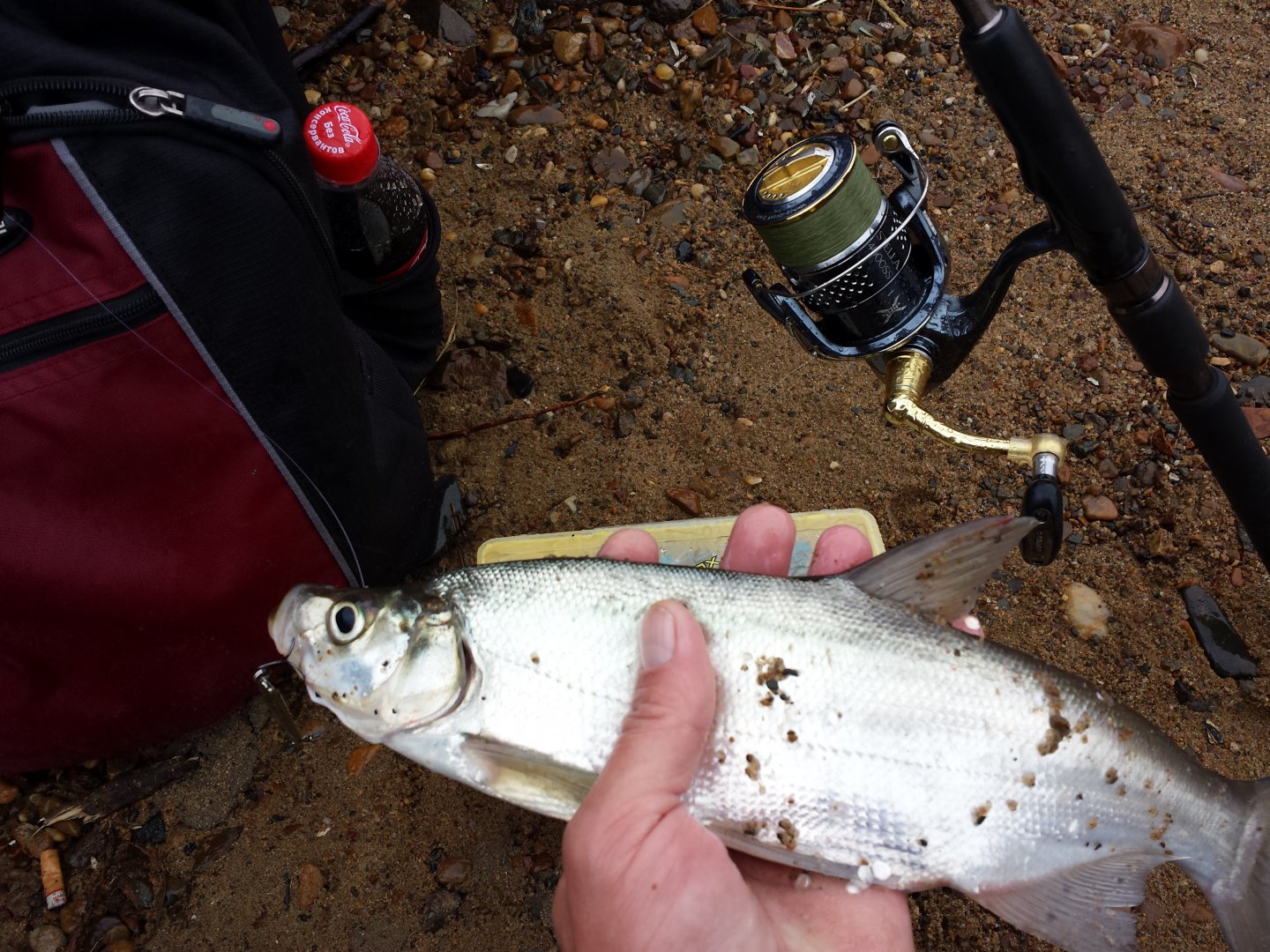 20161017_110644.jpg