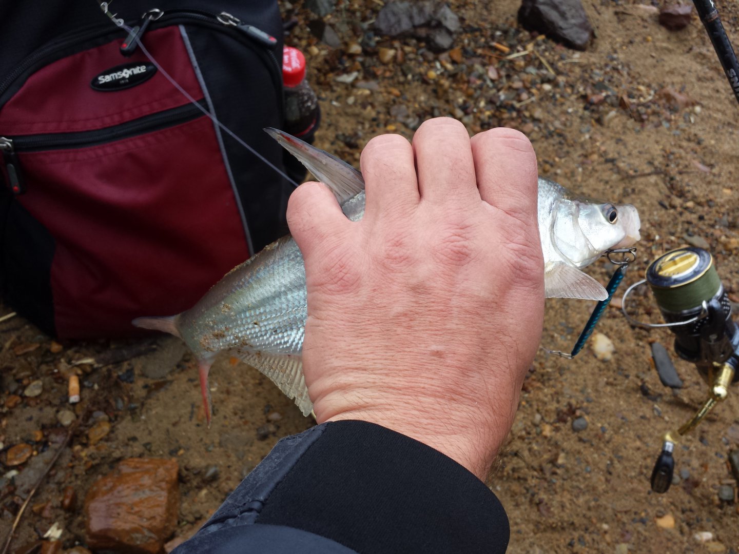 20161017_112920.jpg