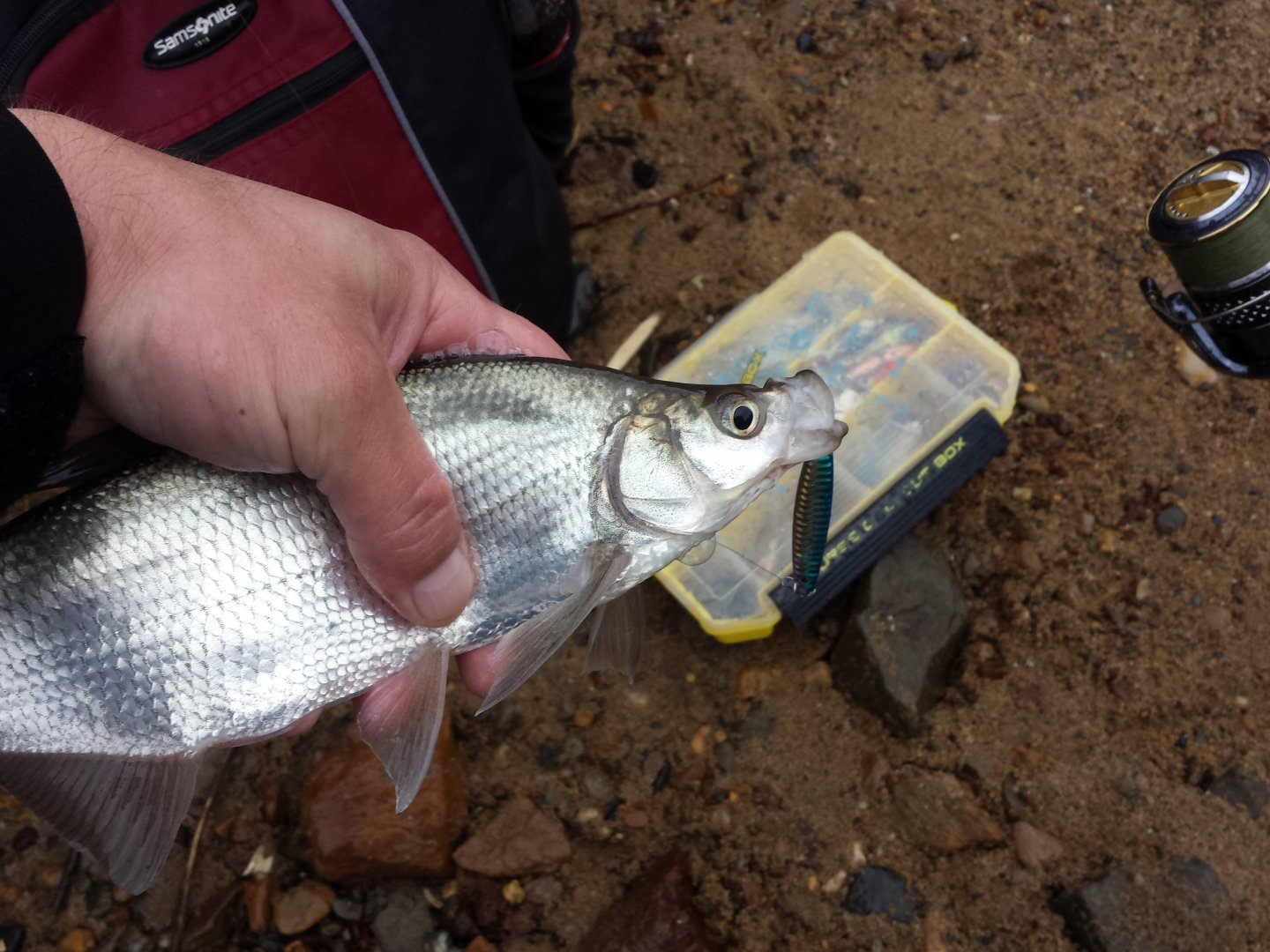 20161017_114213.jpg