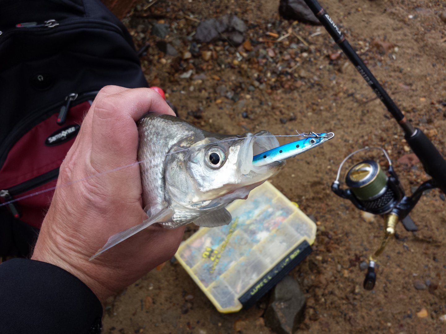 20161017_120035.jpg
