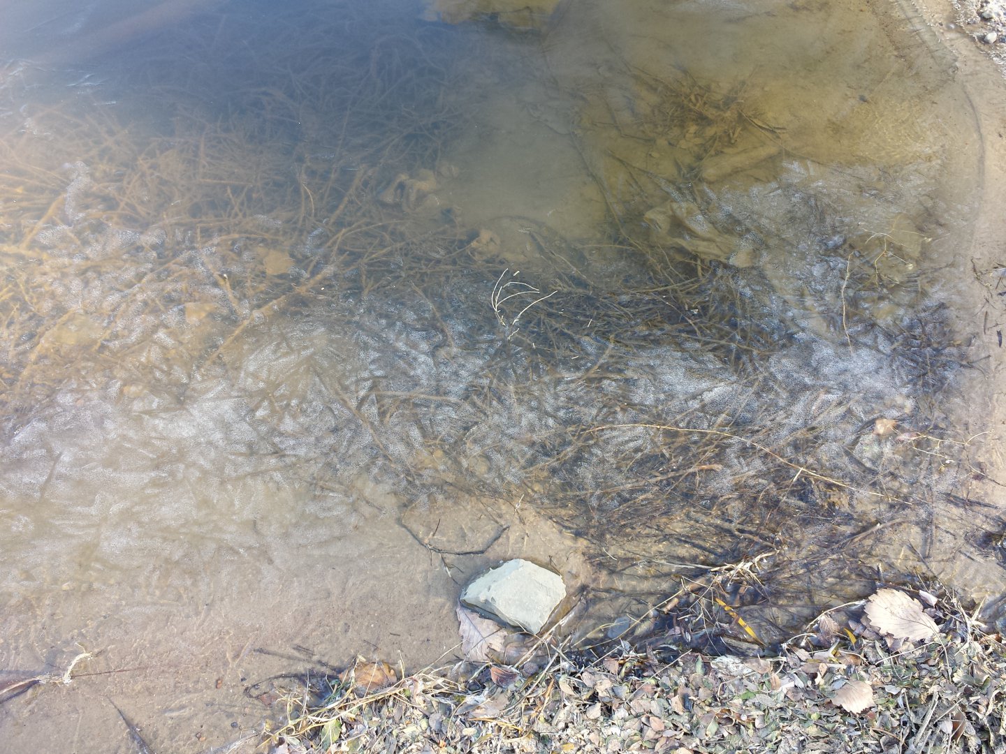 20161021_112139.jpg