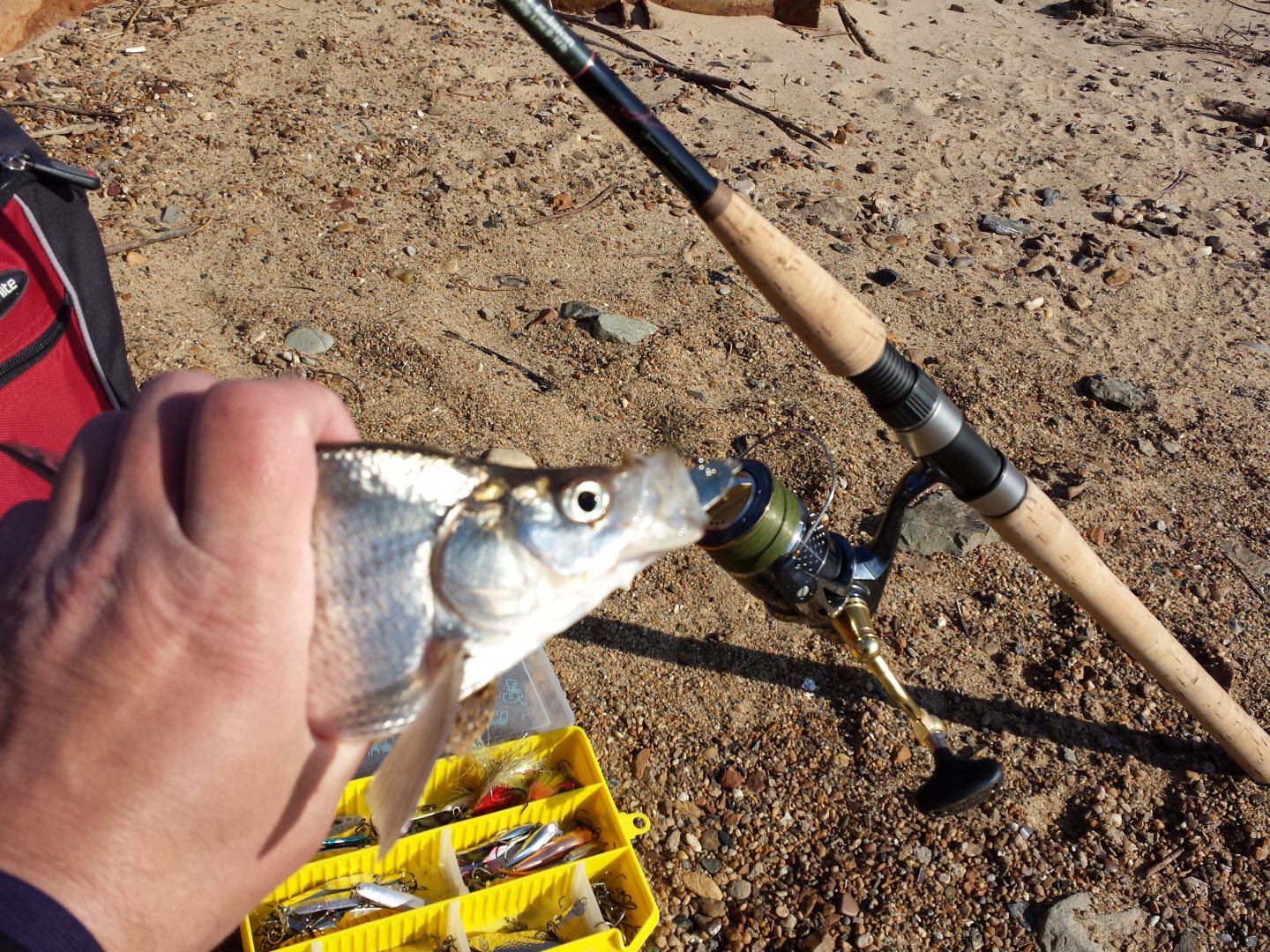 20161021_125421.jpg