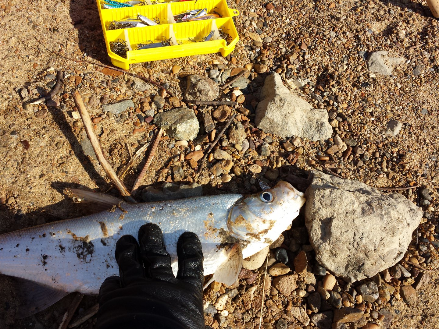20161021_130125.jpg