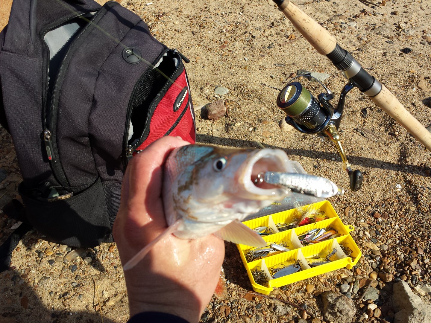 20161021_131101.jpg