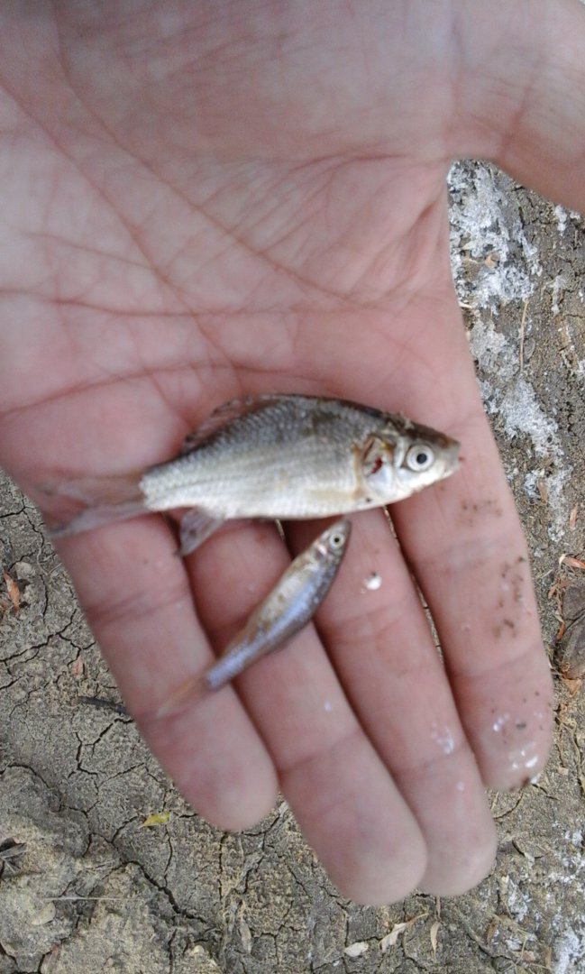 20161022_104459.jpg
