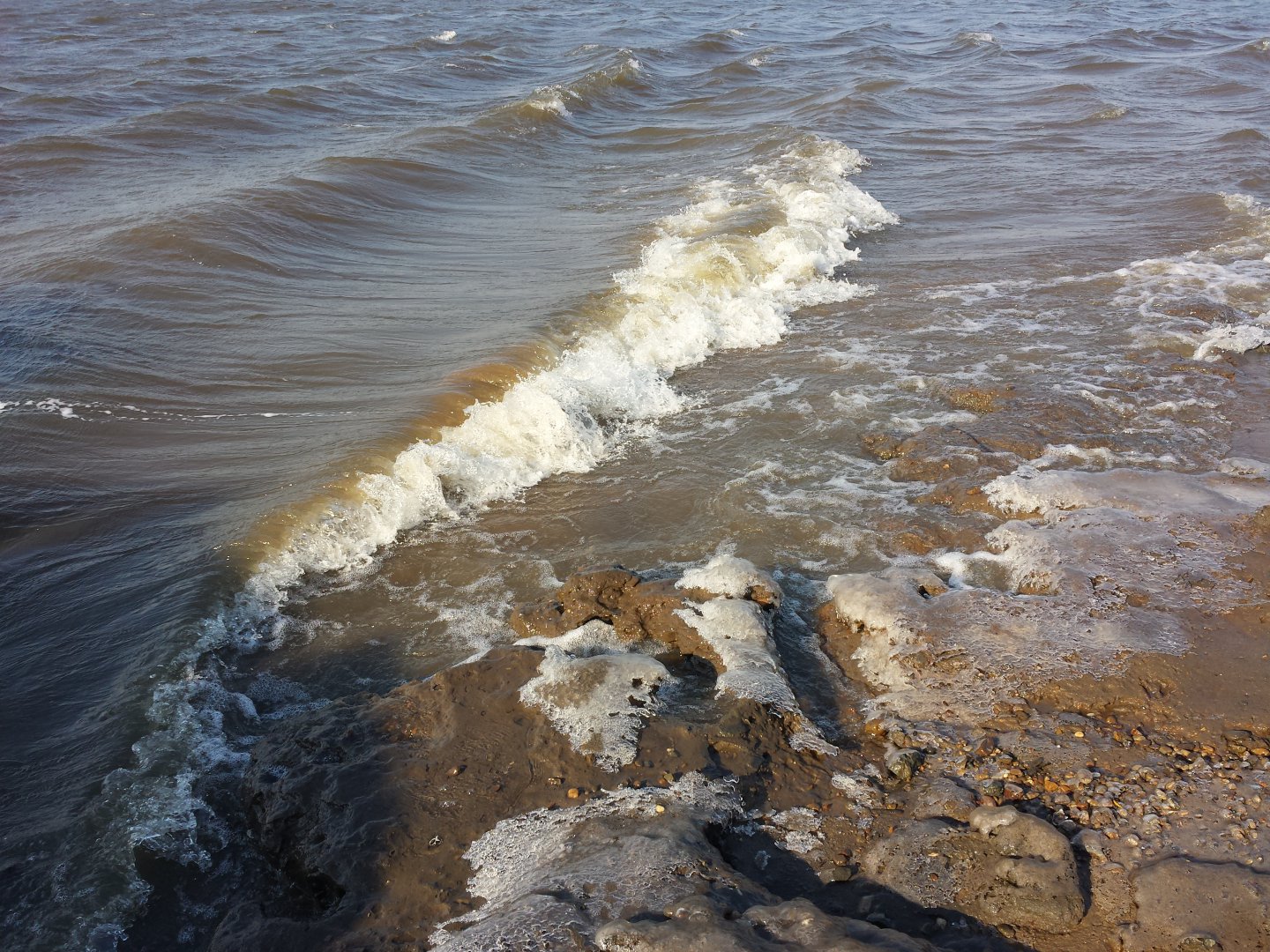 20161027_135935.jpg