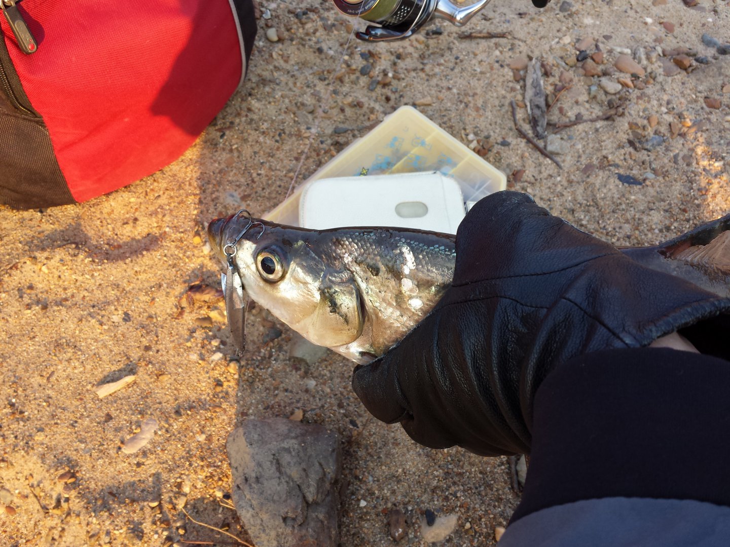 20161027_163846.jpg