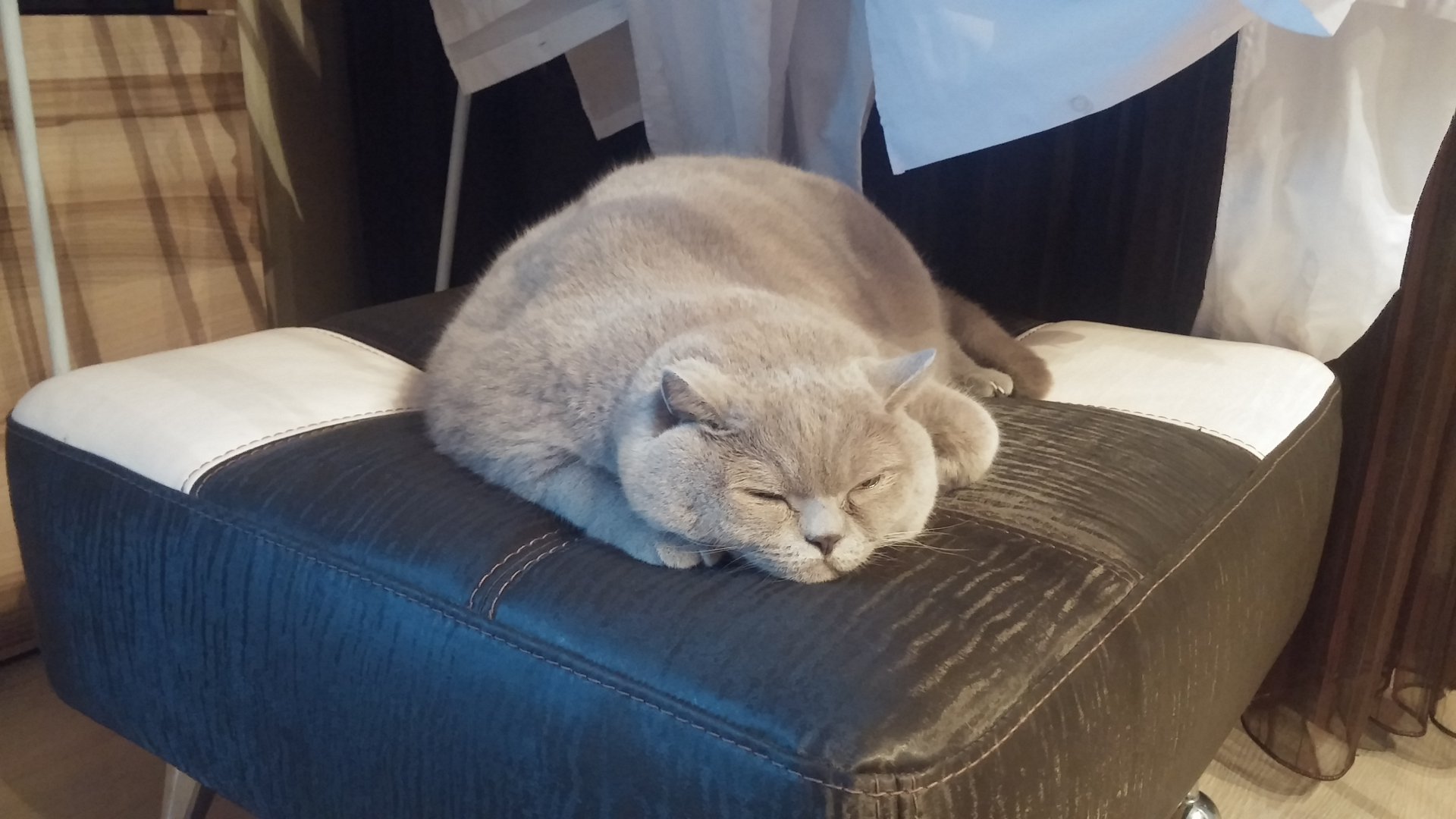 20161111_204826.jpg