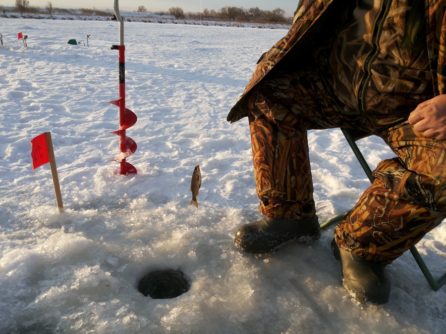 20161120_090554.jpg