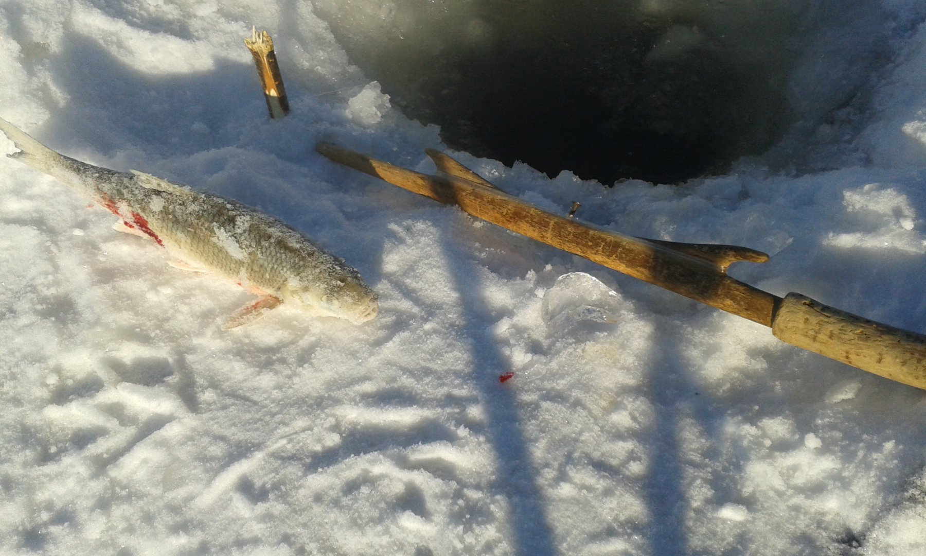 20161129_134949.jpg