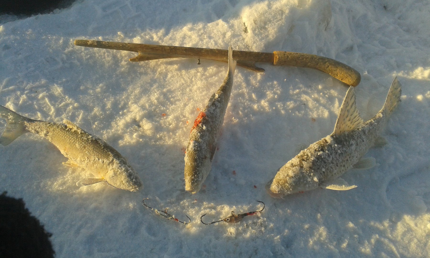 20161129_160227.jpg