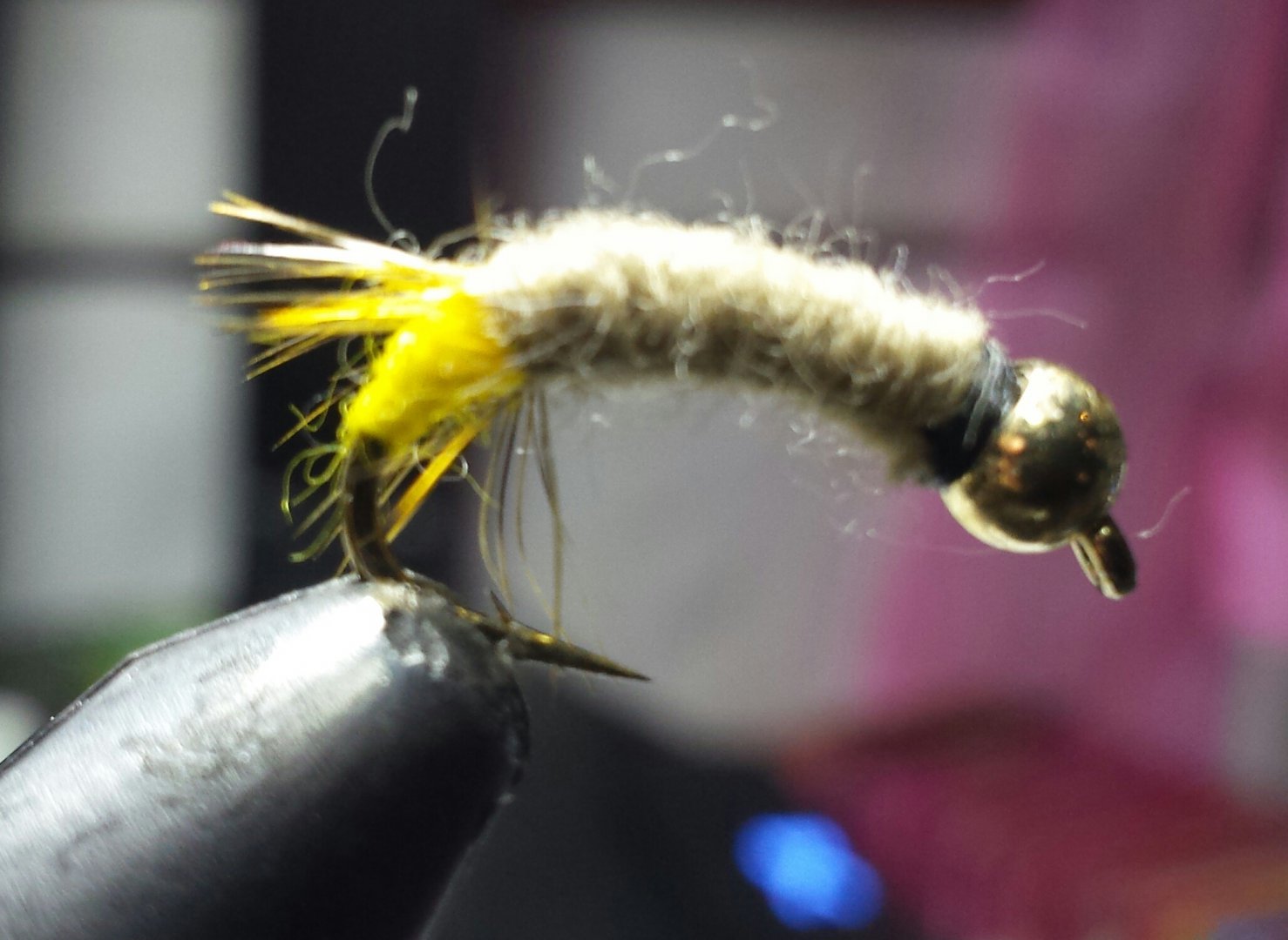 20161202_174853-1.jpg