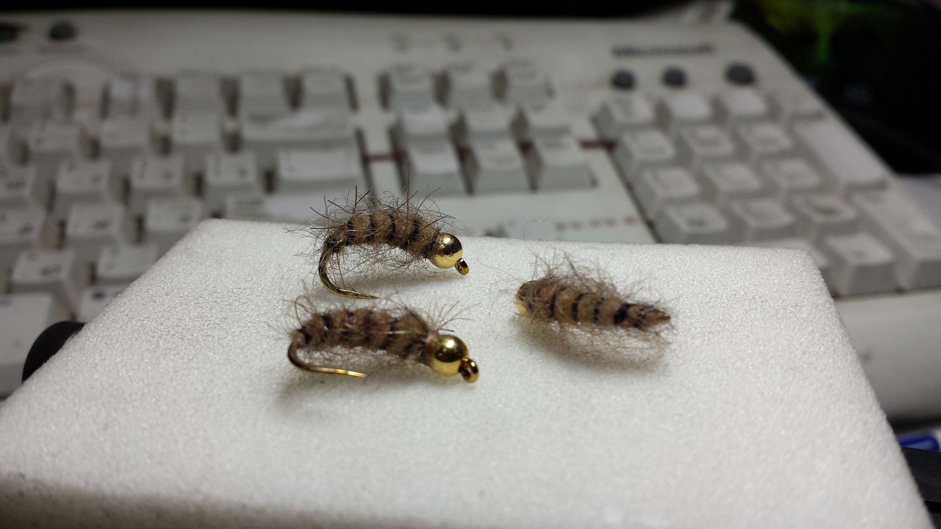 20161202_175147.jpg