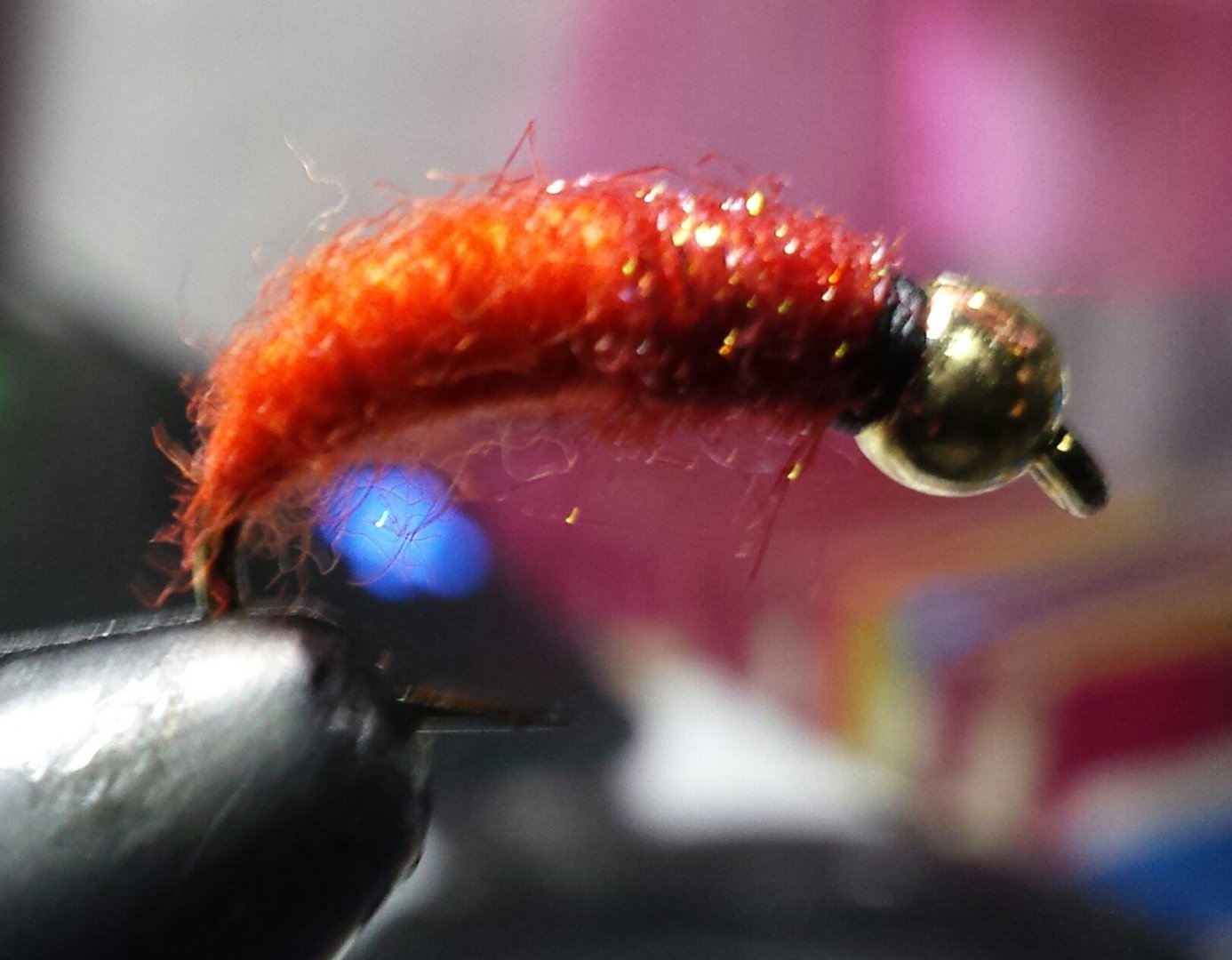 20161202_175556-1.jpg