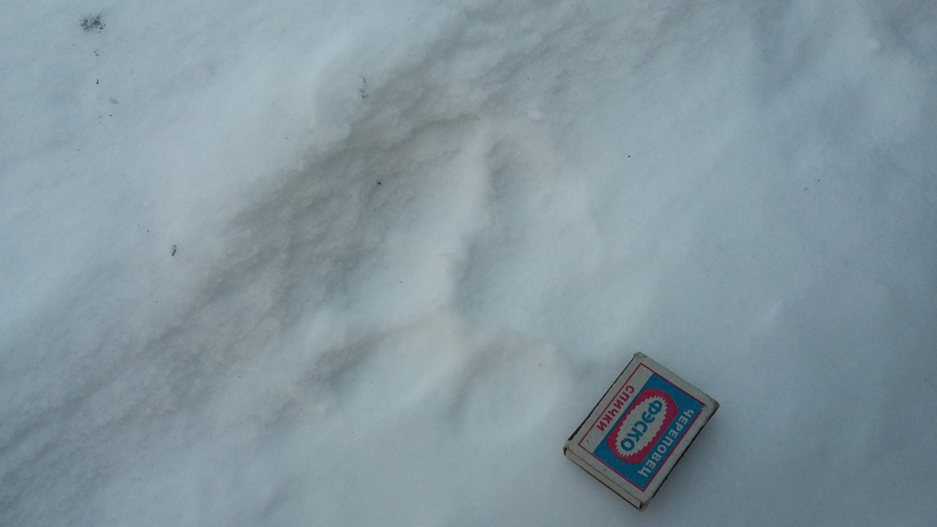 20161216_165530.jpg