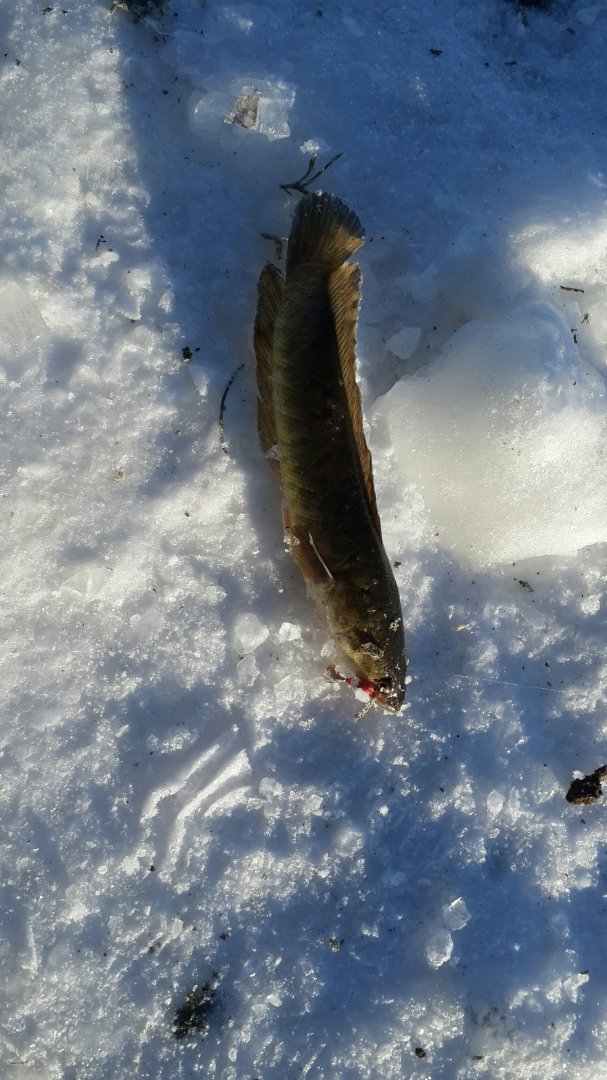 20161224_104651_resized.jpg