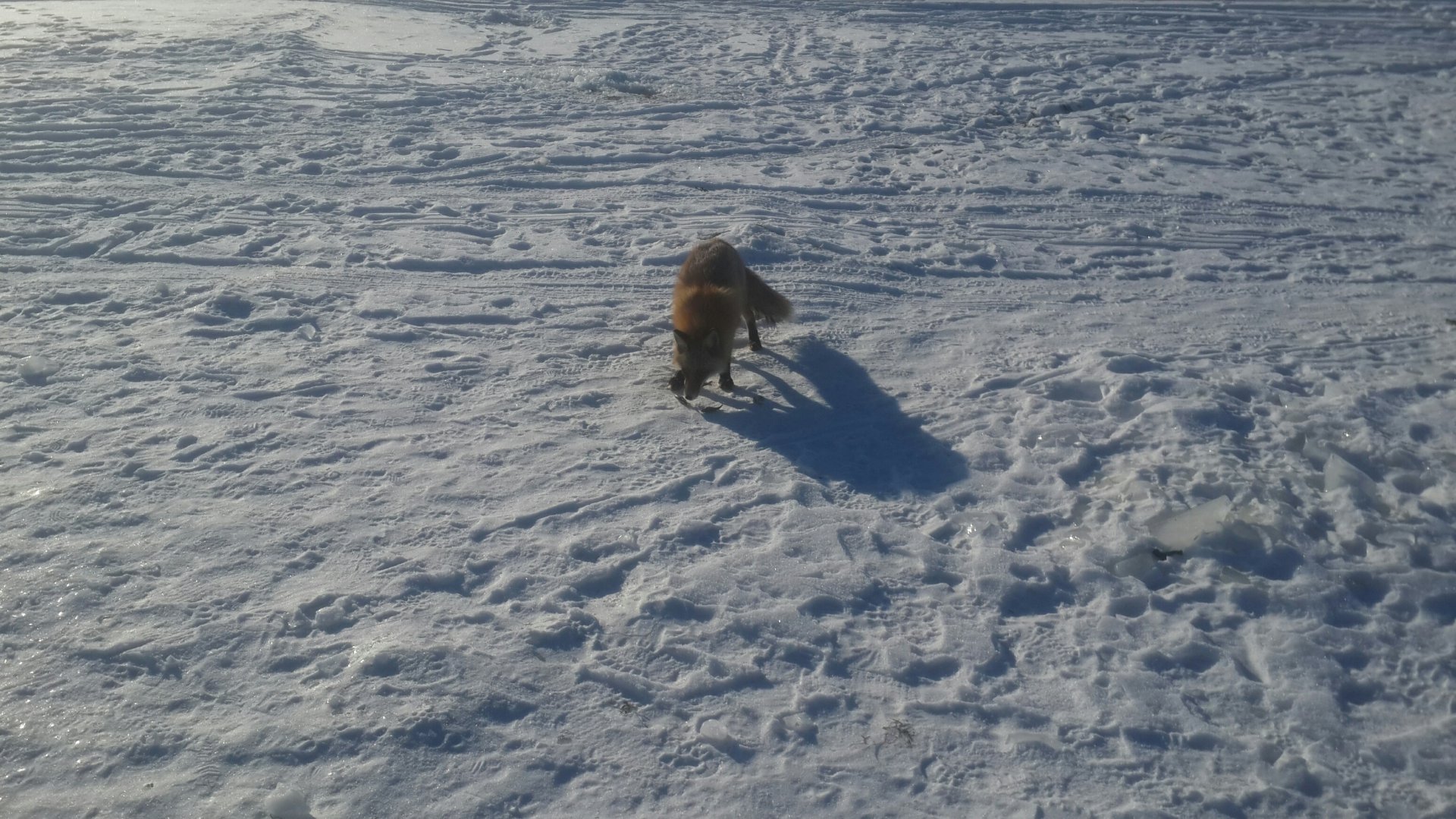 20161224_135547_resized.jpg