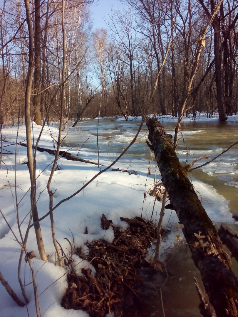 2017-03-19 17-18-38.JPG