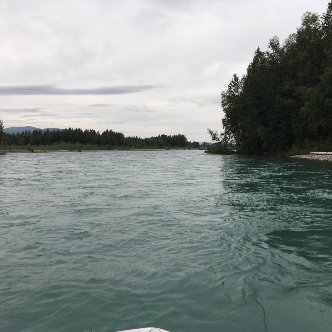 2017-08-10 17.29.59.JPG