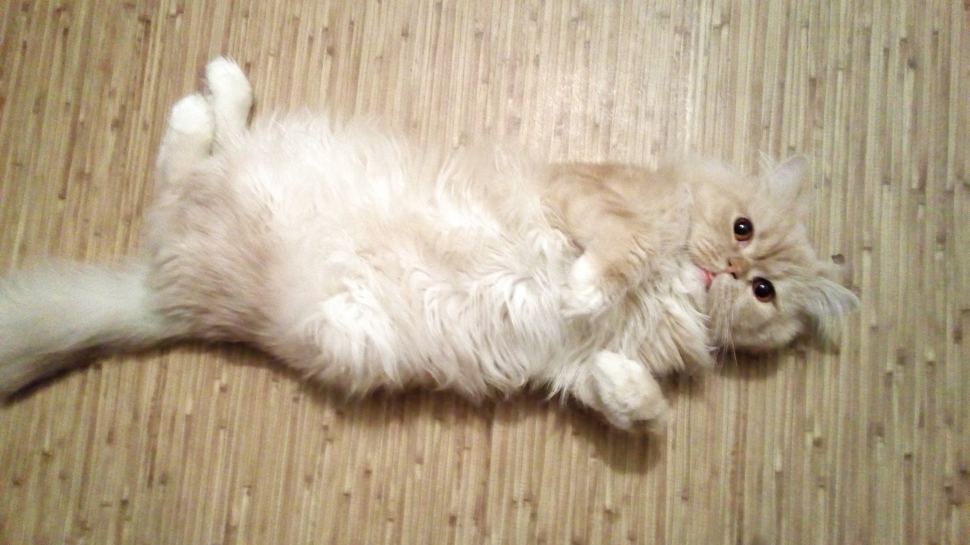 2017-09-04 23-06-06.JPG